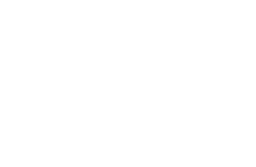 Raj Imports